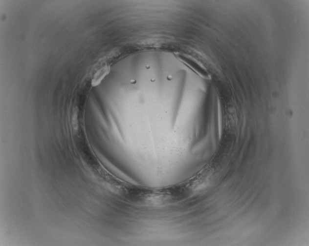 X0000071930504200607281922