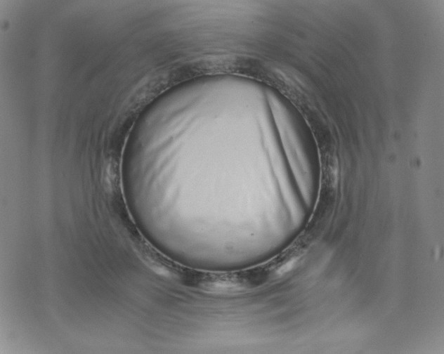 X0000071930507200607281922