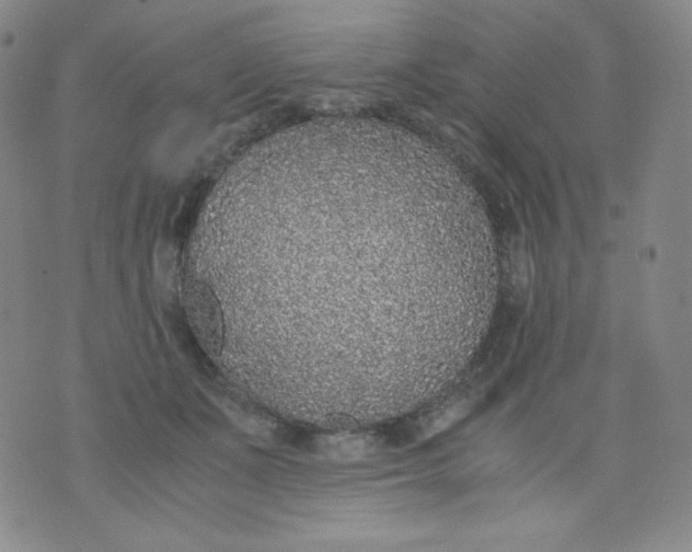 X0000071930511200607281922