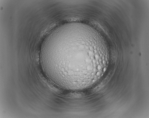 X0000071930545200607281921