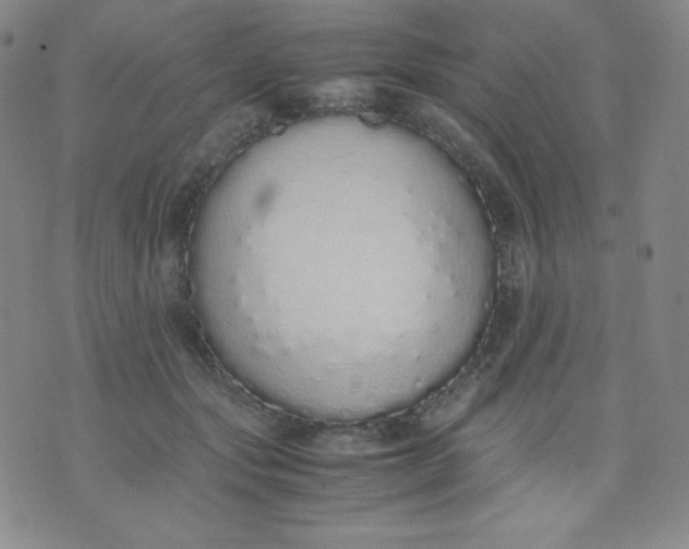X0000071930557200607281921