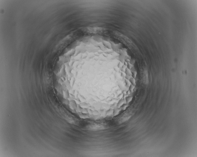 X0000071930569200607281921