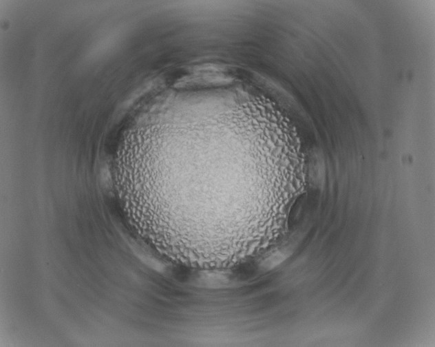 X0000071930573200607281921