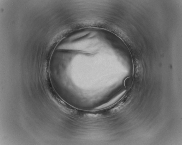 X0000071930590200607281921