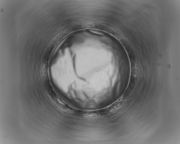 X0000071930598200607281920