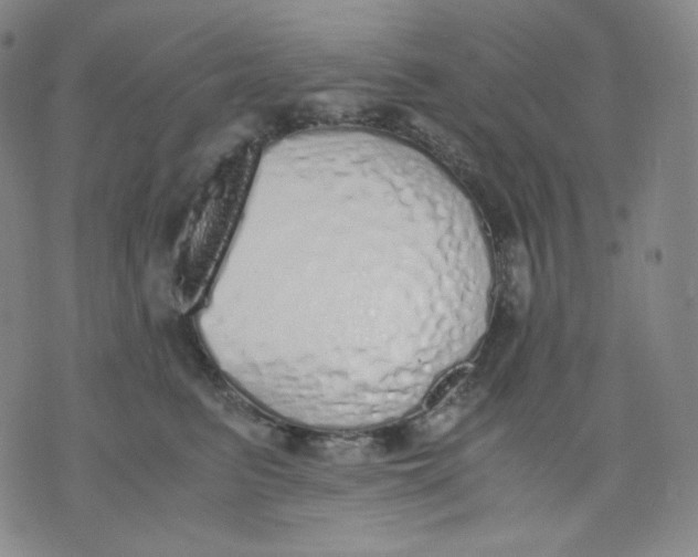 X0000071930615200607281920