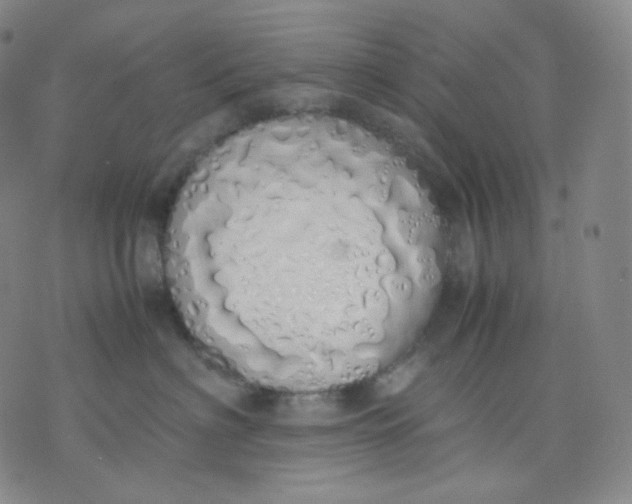 X0000071930622200607281920