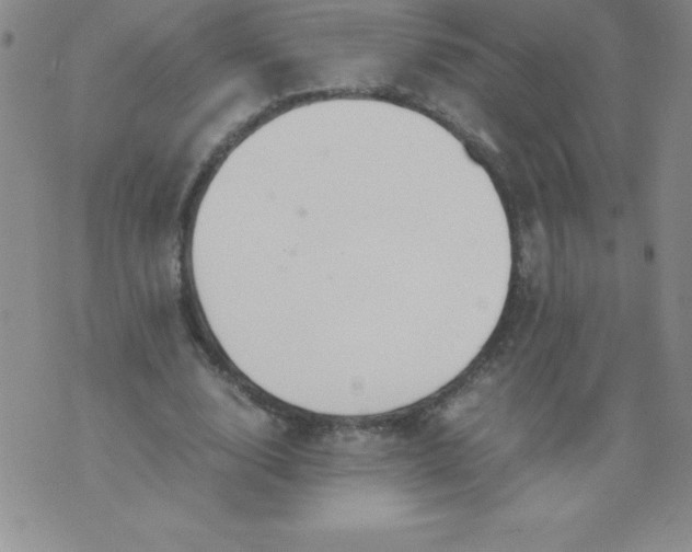 X0000071930632200607281919