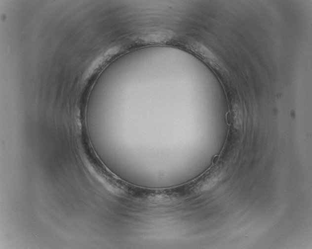X0000071930634200607281919