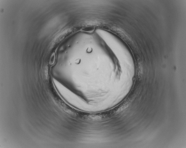 X0000071930640200607281919
