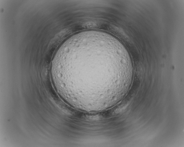 X0000071930645200607281920