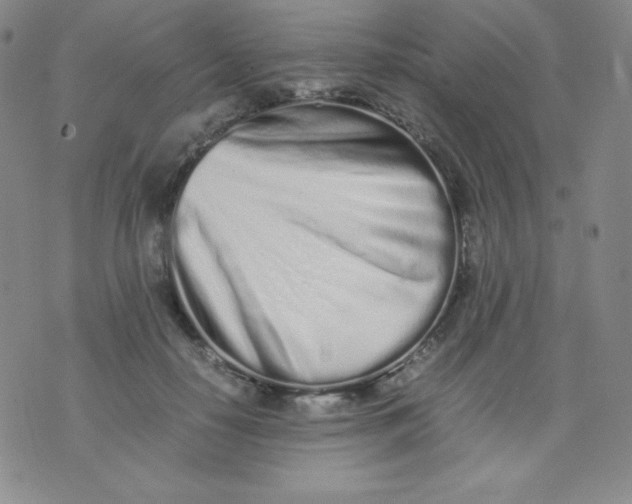 X0000071930650200607281920