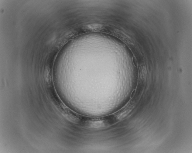 X0000071930651200607281920