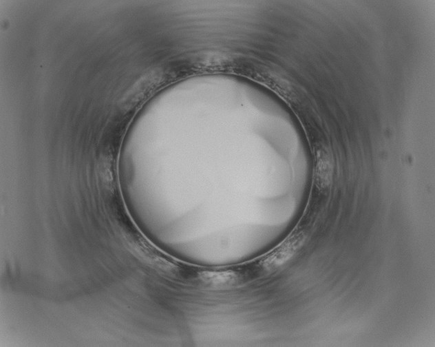 X0000071930654200607281920