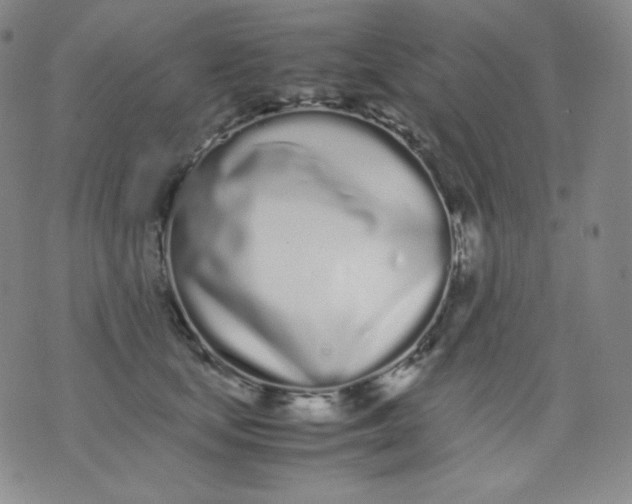 X0000071930659200607281920