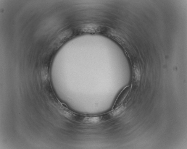X0000071930665200607281920