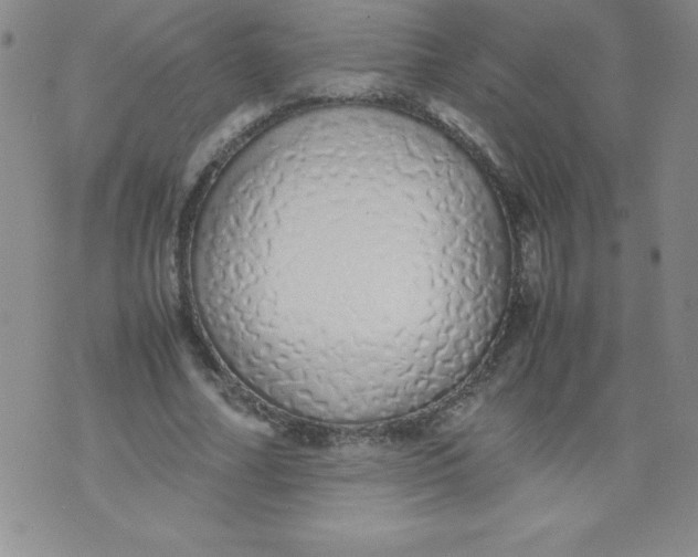 X0000071930682200607281919