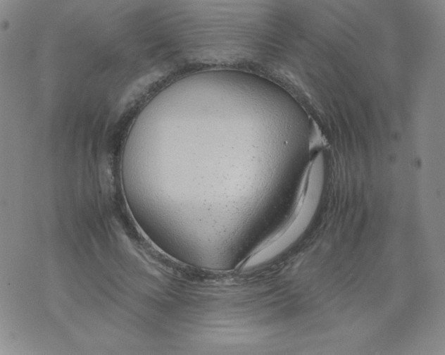 X0000071930688200607281919