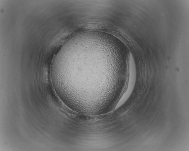 X0000071930696200607281919