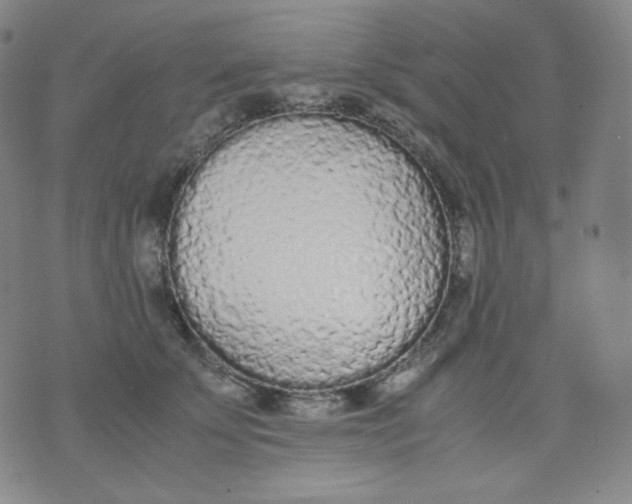 X0000071930707200607281919