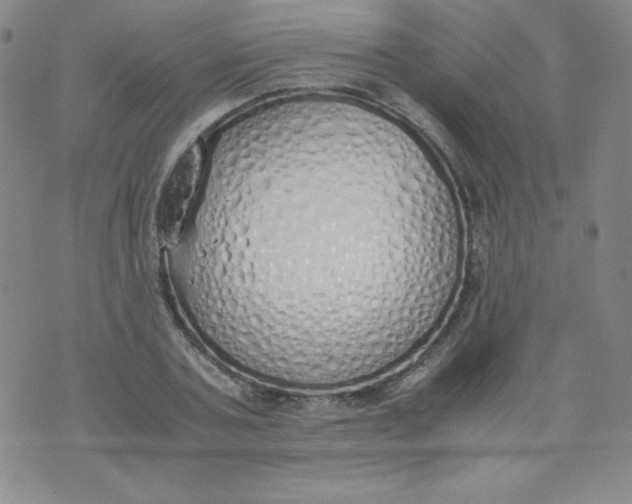 X0000071930787200607281917