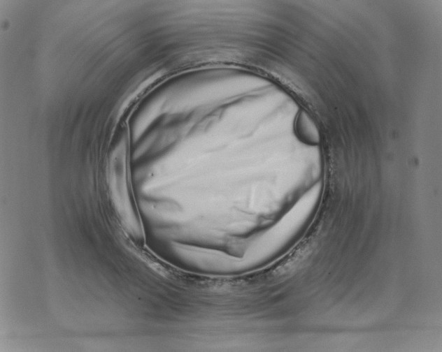 X0000071930790200607281917