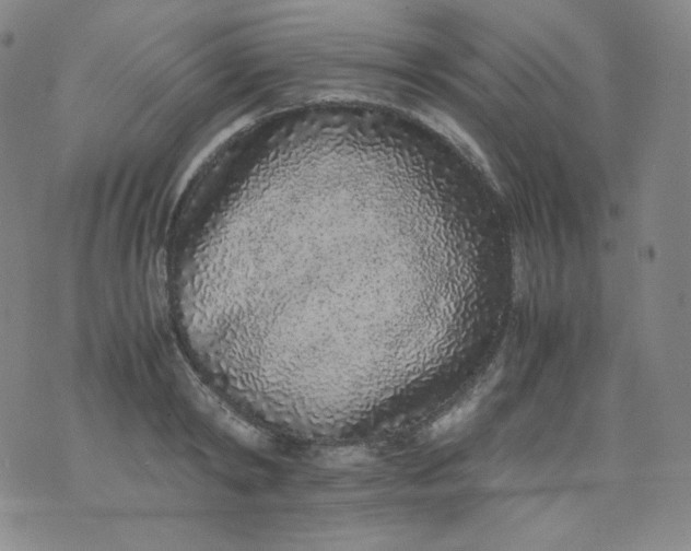 X0000071930798200607281917