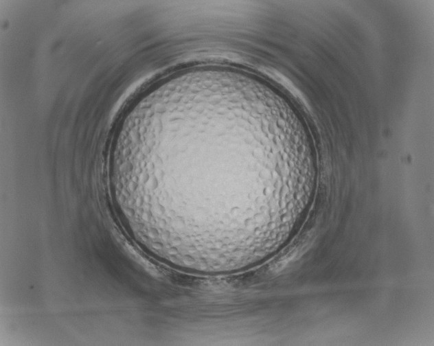 X0000071930799200607281917