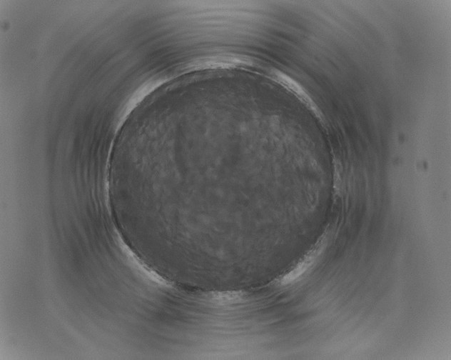 X0000071930802200607281917