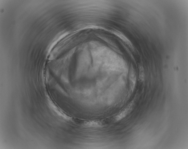 X0000071930806200607281917