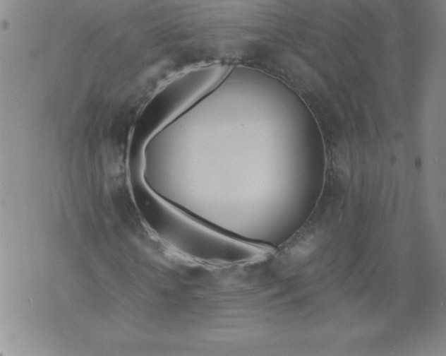 X0000071930818200607281916