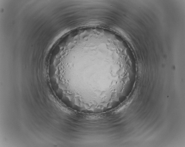 X0000071930835200607281916