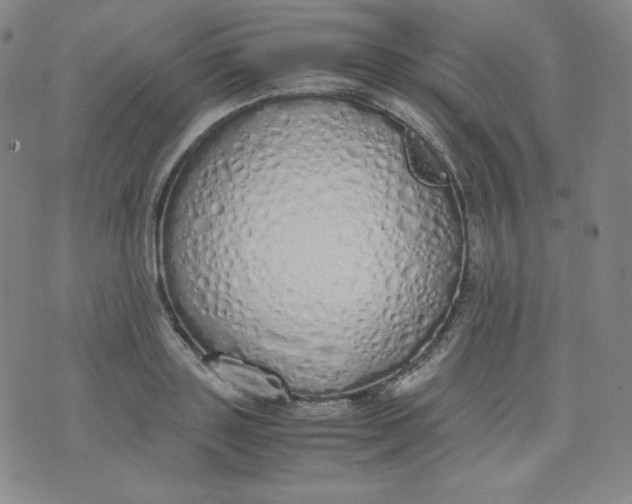 X0000071930843200607281917