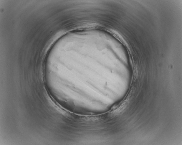 X0000071930851200607281917