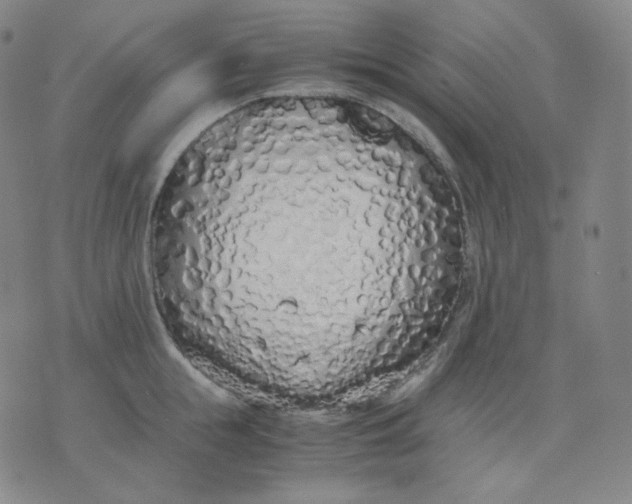 X0000071930855200607281917