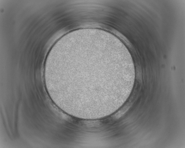 X0000071930856200607281917