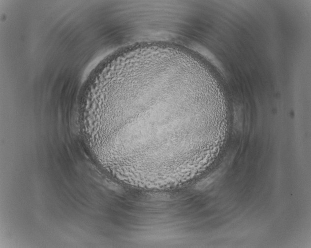 X0000071930878200607281916
