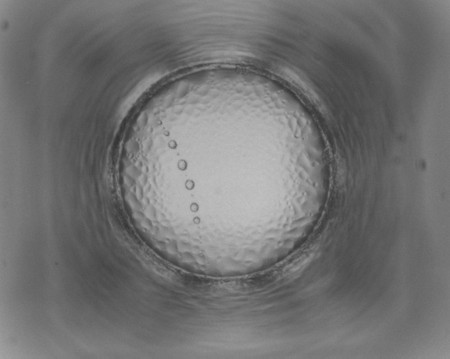 X0000071930883200607281916