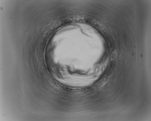 X0000071930913200607281915