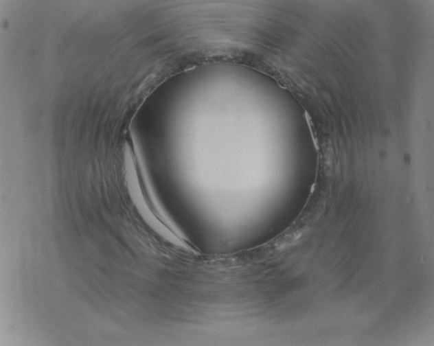 X0000071930916200607281915