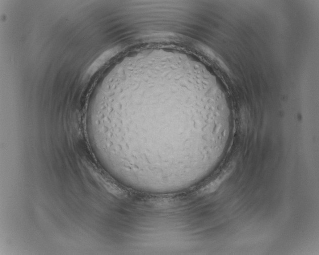 X0000071930970200607281914