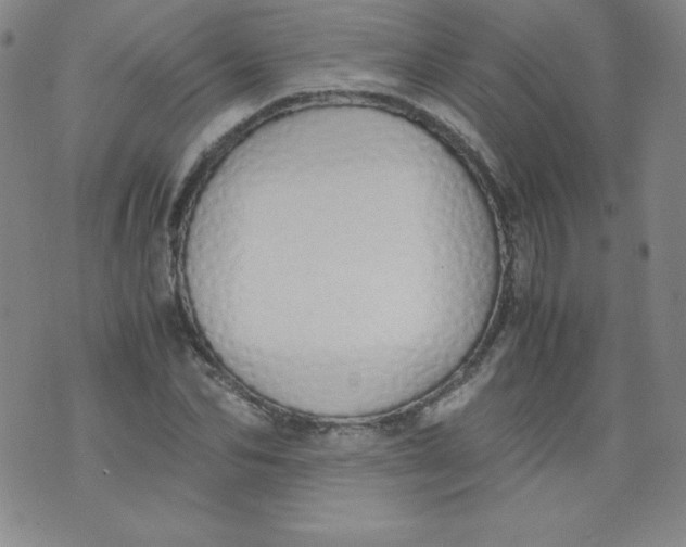 X0000071930974200607281914