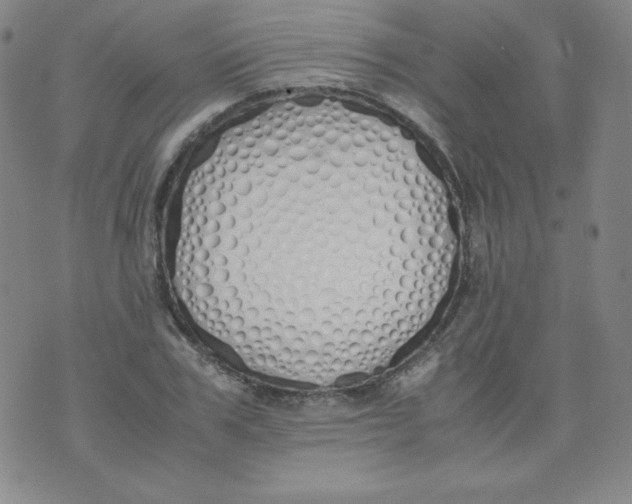 X0000071930979200607281914