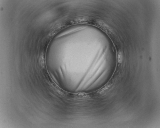 X0000071931011200607281913