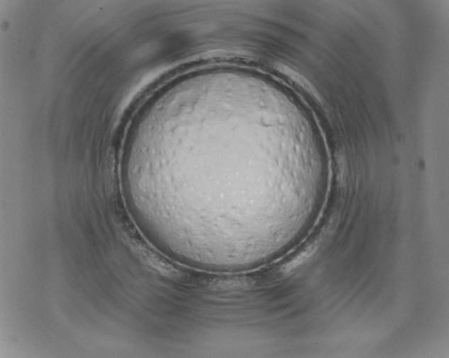 X0000071931021200607281913