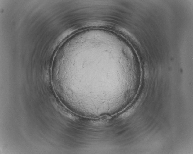 X0000071931025200607281913