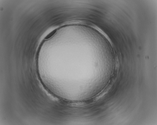 X0000071931053200607281914