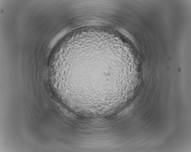 X0000071931067200607281913