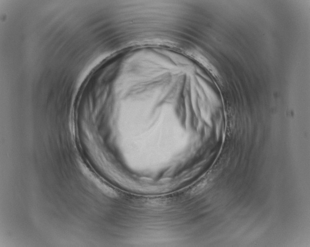 X0000071931084200607281913