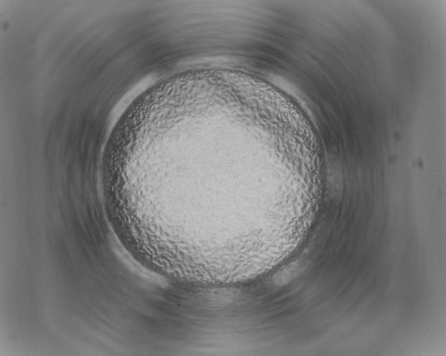 X0000071931090200607281912